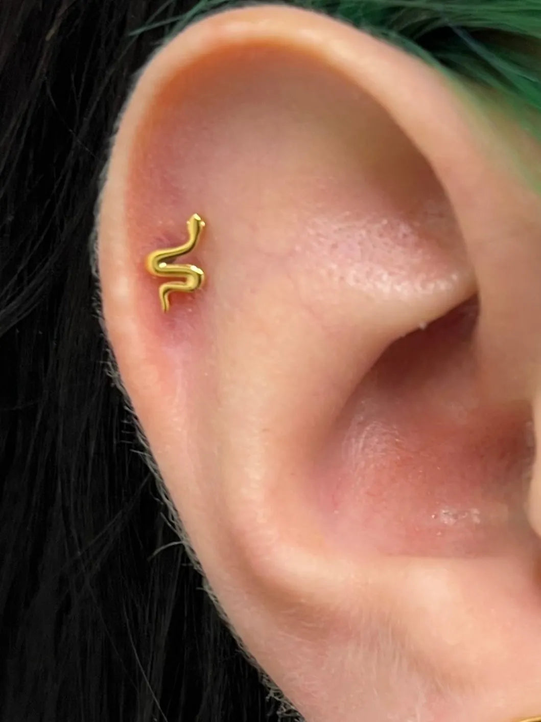 Titanium Push Pin Flat Back Stud - Dainty Snake