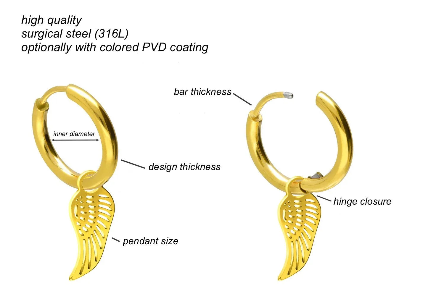 Surgical Steel Hoop Earrings - Shiny Wings